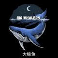 大鲸鱼BIG WHALERS 🇨🇳🐋☎️