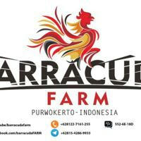 Barracuda Farm (Showroom/Display)