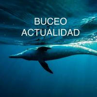 Buceo Actualidad