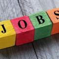 Job Vacancy for fresh & Experience