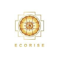 ECORISE