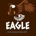 Eagle_FOR_HAK_NET