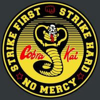 Cobra Kai ( Season 5 )