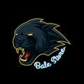 BALE STORE