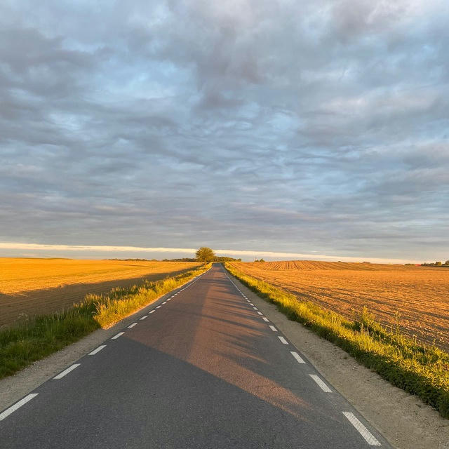 Музика в дорогу🛣️