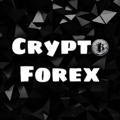 Crypto & Forex