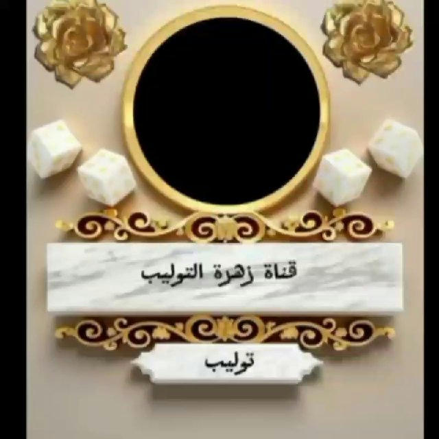 زهـرة التـ🌷ـوليـب