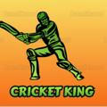 🏟 CRICKET KING 🏟