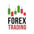 Iam fundamental and analysis acount manager in forex