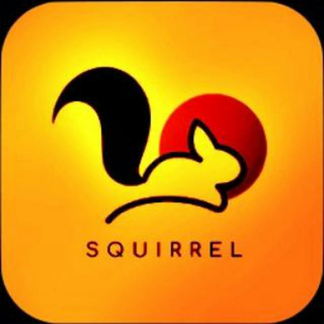 SQUIRREL STREAM