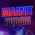 MAGNIT PUBGM