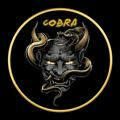 Cobra Cheats 🇪🇬 [Egypt]