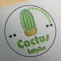 Cactus mehrsaکاکتوس مهرسا