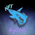 Big Whale NFTs Calls
