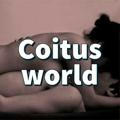 COITUS WORLD - Brazzers, pornhub, xvideos, altbalaji, XNXX, Xvideos, Xhamster