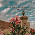 رَونَقْــــ• |🌸| 𝓛𝓐𝓥𝓝𝓓𝓔𝓡