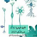 Histology (37A)