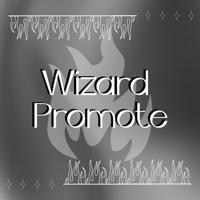 WIZARD PROMOTE