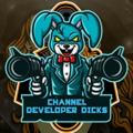 CHANNEL DEVELOPER XRG