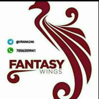 Fantasy wings officials