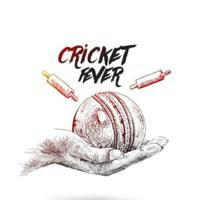 Cricket update