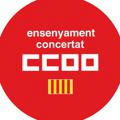 Canal Concertada FE CCOO PV
