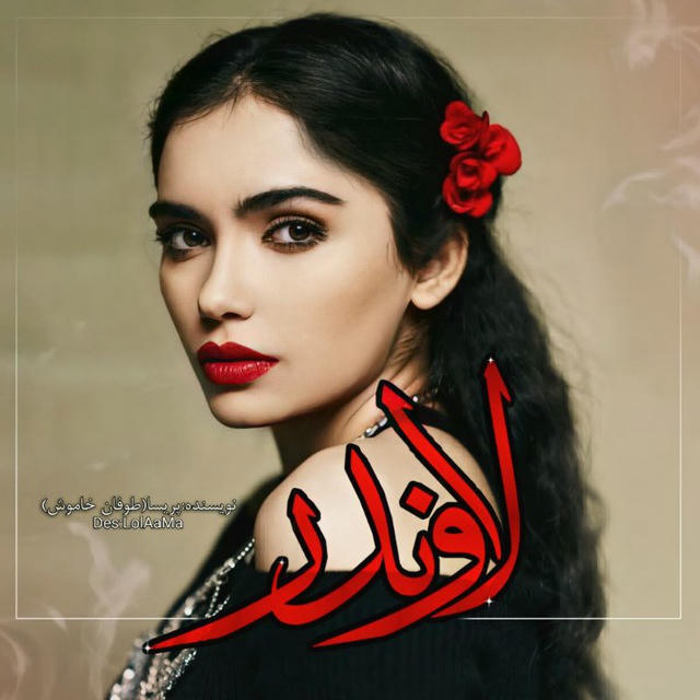 لاوندر