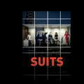Suits web series in hindi (S 1 to 9)...🕶