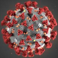 Coronavirus-Ticker SARS-CoV-2, Covid-19 Wuhan aktuell - Pandemie länger überleben durch rechtzeitige Information via Telegram