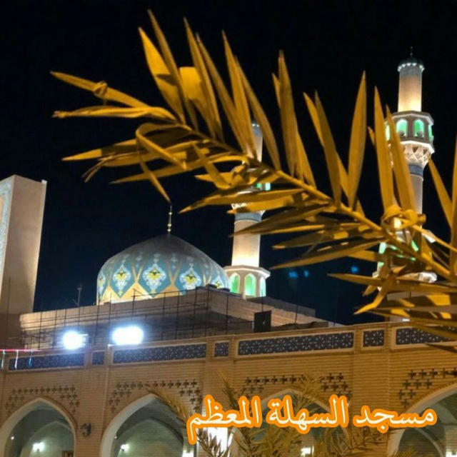 امذنب و انتظر 313