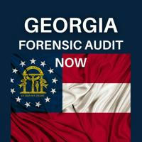 Georgia Audit