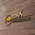 TDFX ACADEMY 🏦📊