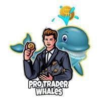 PRO TRADERS WHALES