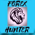 Forex Hunter