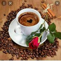 فال ارمنی قهوه و تاروت ساغر