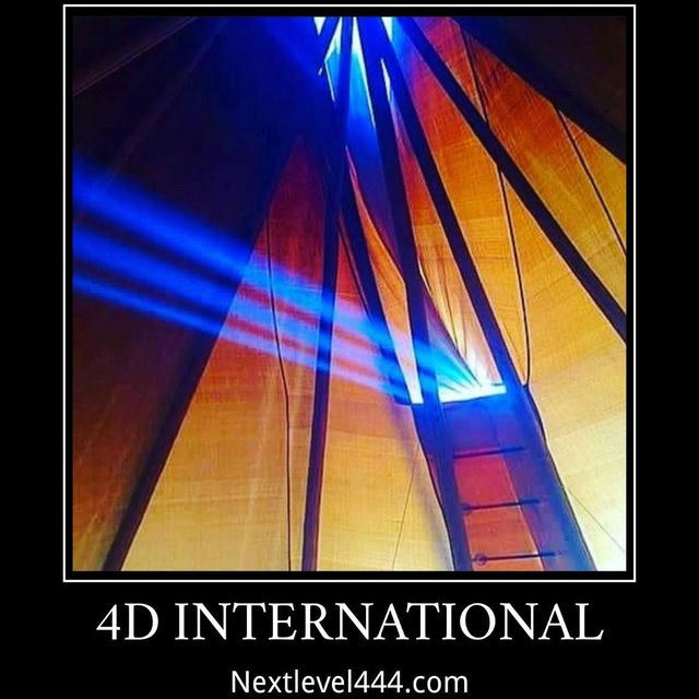 4D International