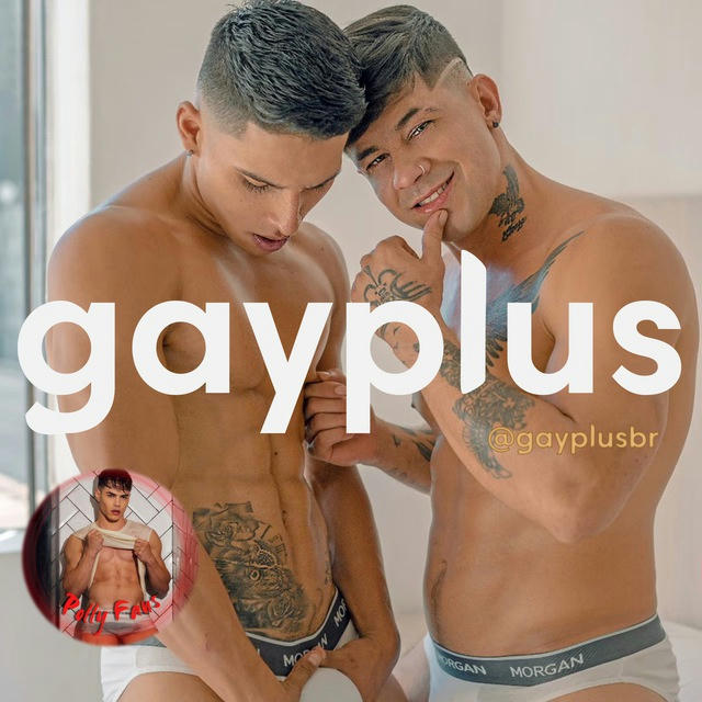 Gay Plus! Pollyfans 🟣