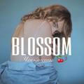 @cheklistblogger2 👈🏻ищи в пoиске BLOSSOM 🍒 Чек-листы Гайды блогеров Курсы бесплатно слив Марафоны Вебинары