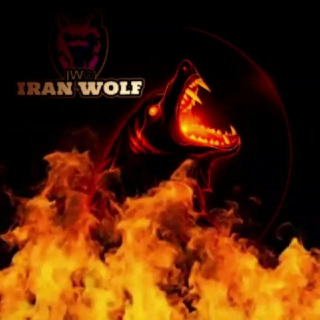IRAN宲WOLF