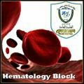 Heamatology Block