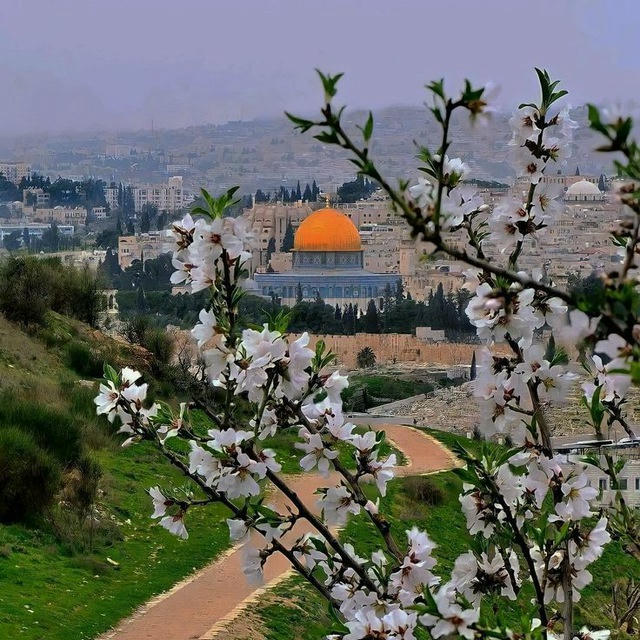 لـ فضاء الرّحمة | ¹⁴🍉