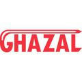 PARCHE_ghazal_international