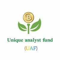 Unique_analyst_fund