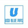 USD BLUE PIPS