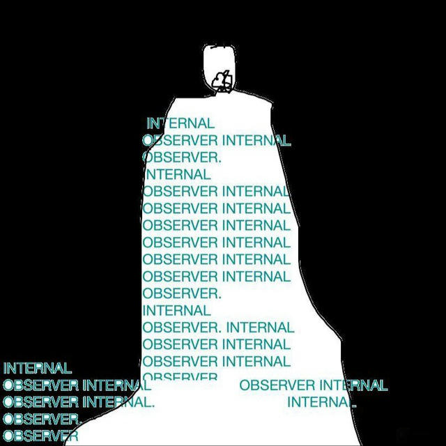 internal observer