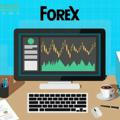 Forex training