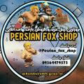 Persian fox