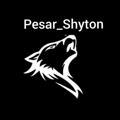 Pesar_Shyton