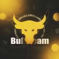 Bull Team 🏆