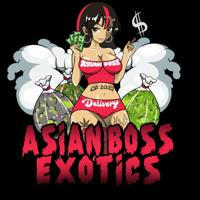 Asian Boss Exotics 🐲🔥